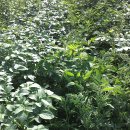 미실농장 이미지