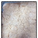 김진치과의원 이미지