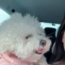 로드케이 | 251031 케이로드 넘버원 출강 (feat.피엘컬러 워크샵💗)