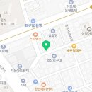 강남 요미독앤캣 강아지 분양 고양이 분양 이미지