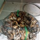 덕발약수탕 네이버블로그