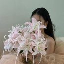 네일드레스 - 서구 | 네일드레스