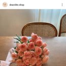 디어디테 이미지