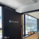 [시청역] 광화문 PT / 펄스온 EMS트레이닝 셀럽 피트니스 후기