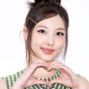 비타민팡팡