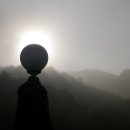 금성 담쟁이 이미지