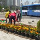 장수서창동-2 이미지