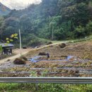 산대분교공공캠핑장 이미지