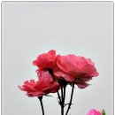 나루빌딩 이미지