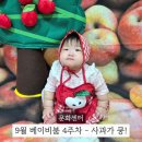 화원농장4 | 마더비문화원 베이비붐 4주차 사과가 쿵 7개월 아기 문센