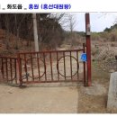 흥원개발