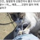 고성동물병원 이미지