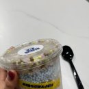 빙과점포항