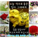 유희서님 생일 축하해주세요!! 이미지