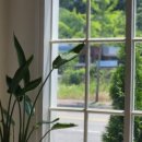 노마드(NORMARD) 이미지