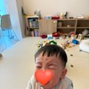 멍멍타요 | 2026년 3월 - 1