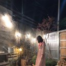 피어라헤어 이미지
