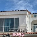 앤틱끌림