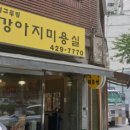 그루밍멍멍 이미지