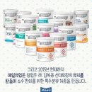 매일간식