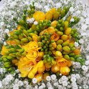 아크포레자이위브 1단지 이미지