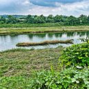 왕숙천 자전거도로14 이미지