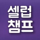 [독려] 오후시간에도 셀럽챔프 💢 이미지