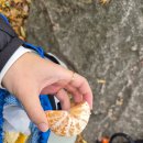 최고한의원 | 북한산 등산 :: 내인생 최고 힘든 산이었도다 | 단풍후기 근육통 한의원