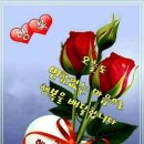 건강하세요