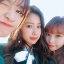 나의 댕댕이 이미지