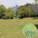 그늘막35 이미지