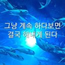 대소국민체육센터 체육관 | 추첨 접수하고 도원수영장 당첨 기원해보는데~(송림체육관! 미추홀국민체육센터! 계양국민체육센터!는 덤)