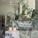 코듀스네일