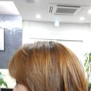 양파헤어라인 Daum카페