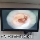 호 동물병원 이미지