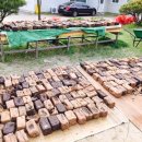 쥐눈이콩마을 이미지