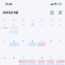 힐링댕 네이버블로그