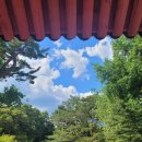 하늘종묘 이미지