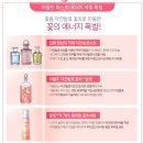 꽃초 | 마몽드 퍼스트 에너지 세럼/꽃초 세럼 후기