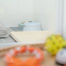 의정부 애견호텔 SM펫살롱 이미지