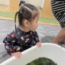 (주) 플레이가든 이미지