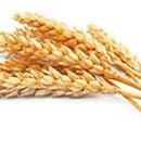 물푸레단비한의원 이미지