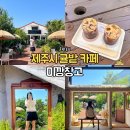제주도 애월읍 예쁜 귤밭 감성카페 추천 미깡창고