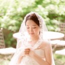 헤어블라썸 이미지