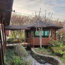 한우명가 | 팔공산 한식 밥집 방갈로 룸식당 파계사 식당 부모님 모시고오기 좋은 '성주한우명가' 후기