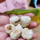 강냉이닷컴 이미지