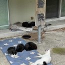 석산한의원 이미지