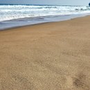 동해파도소리 이미지