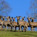 스마일행정사사무소 이미지