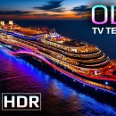 OLED 16k 영상.＜12k, 8k 포함＞ 이미지